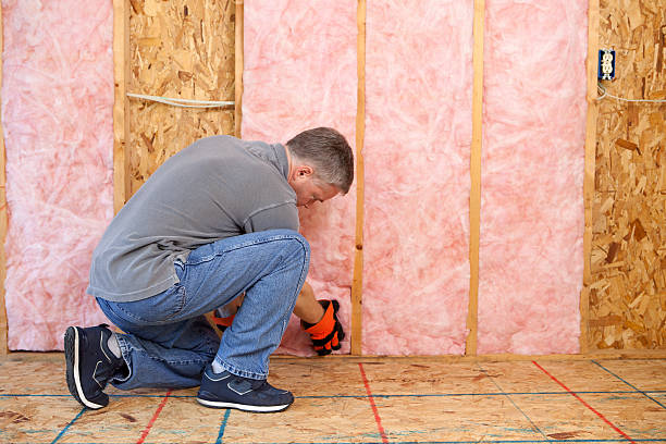 Best Attic Insulation Installation  in Freeburg, IL